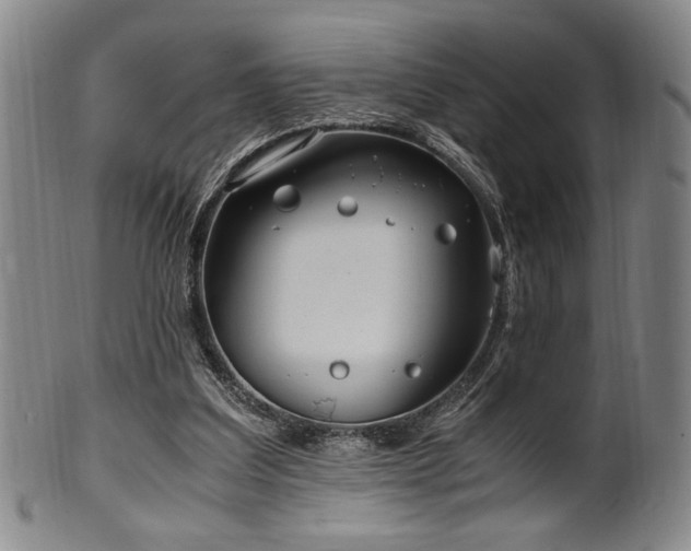 X0000100350203200806061122