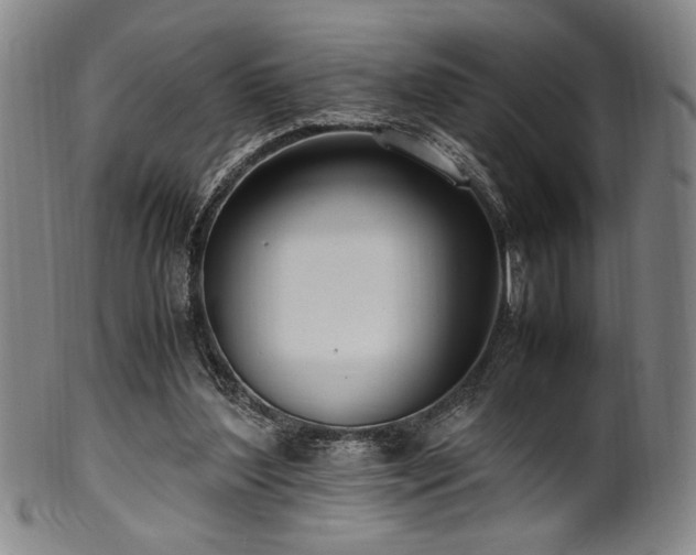 X0000100350204200806061122