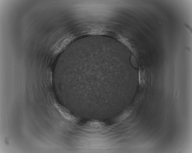 X0000100350205200806061122