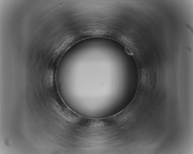 X0000100350206200806061122