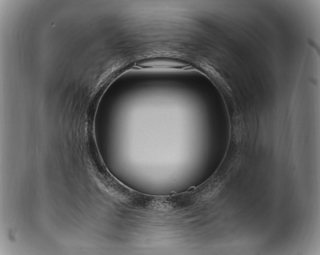 X0000100350207200806061122