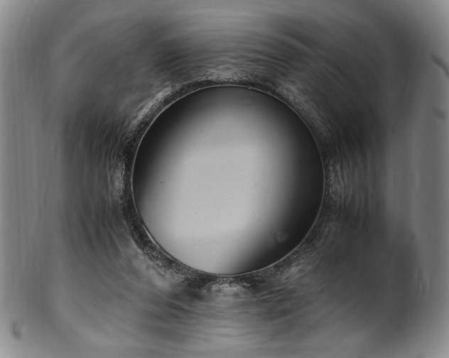 X0000100350208200806061122