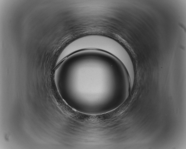 X0000100350209200806061122