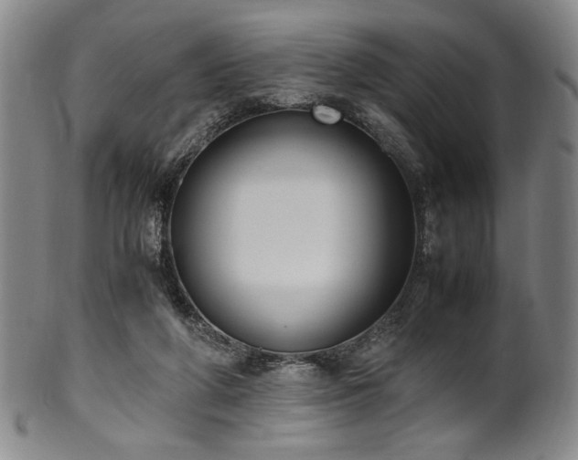 X0000100350210200806061122