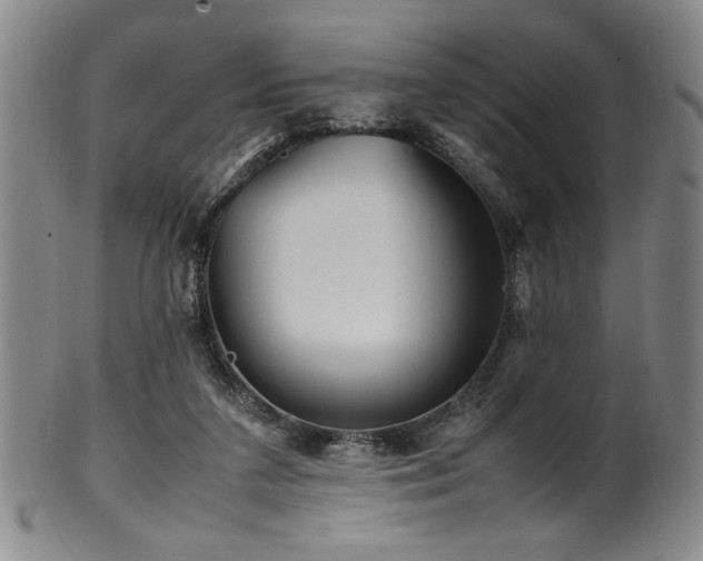 X0000100350211200806061122