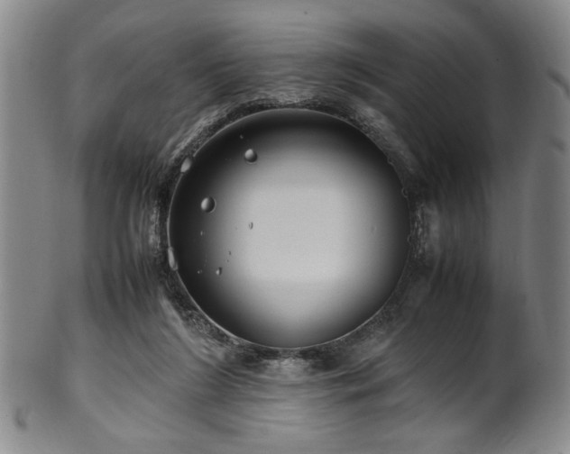 X0000100350212200806061122