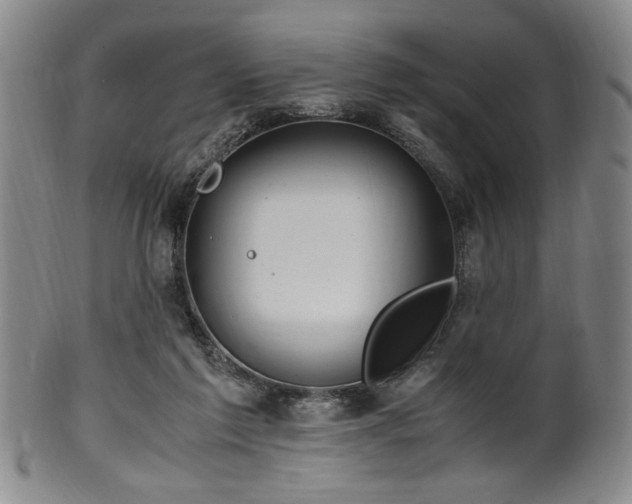 X0000100350213200806061122