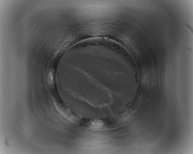 X0000100350214200806061122