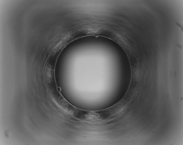 X0000100350215200806061122