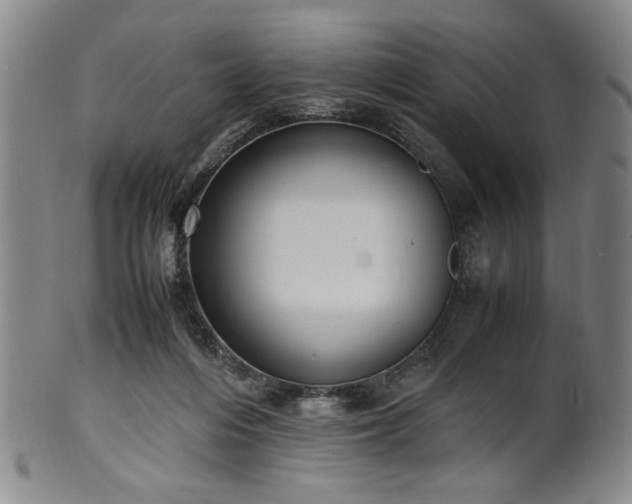 X0000100350216200806061122