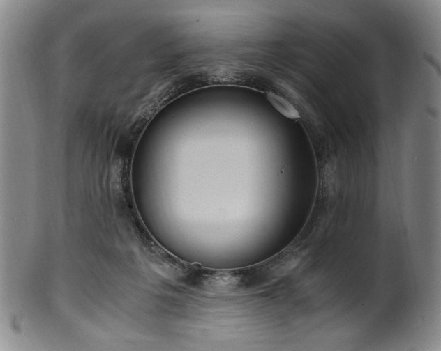 X0000100350217200806061122
