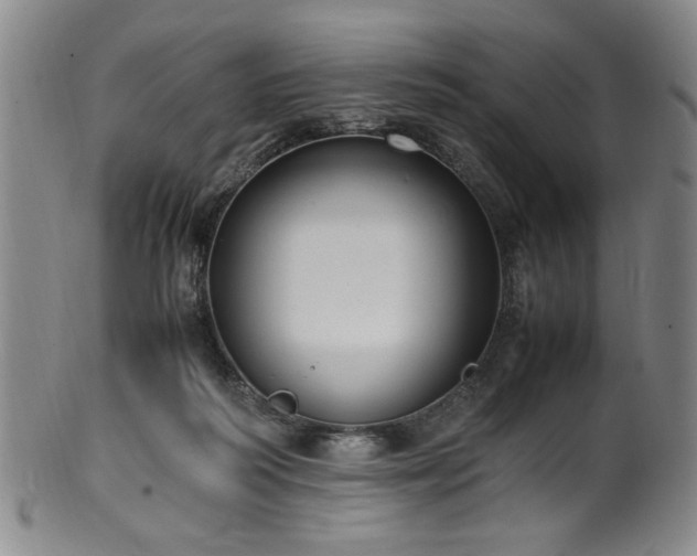 X0000100350218200806061122