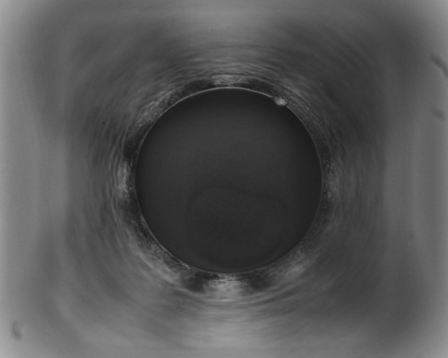 X0000100350219200806061122