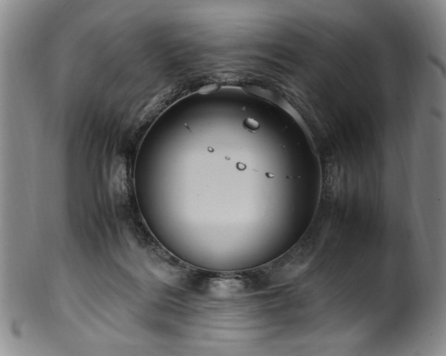X0000100350220200806061122