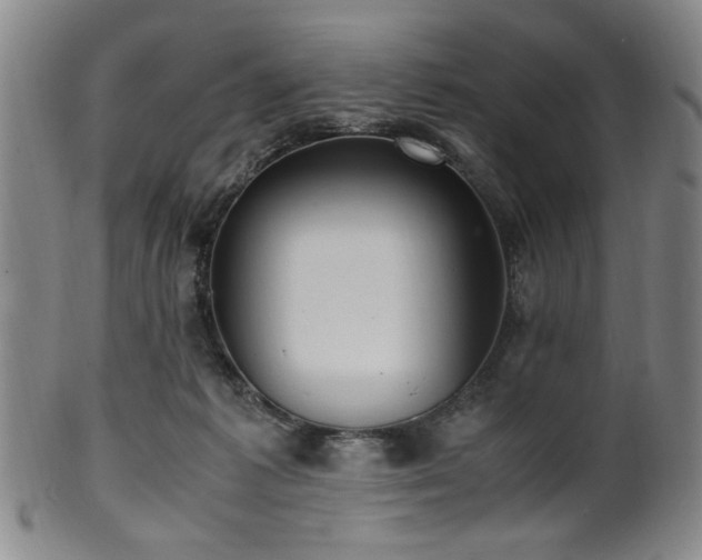 X0000100350221200806061122