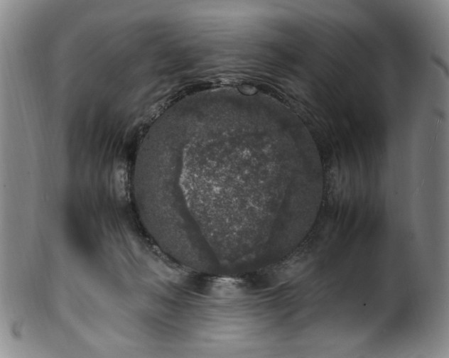 X0000100350222200806061122