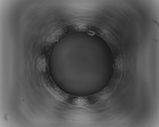 X0000100350223200806061122