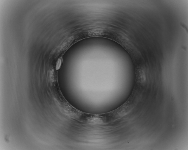 X0000100350224200806061122
