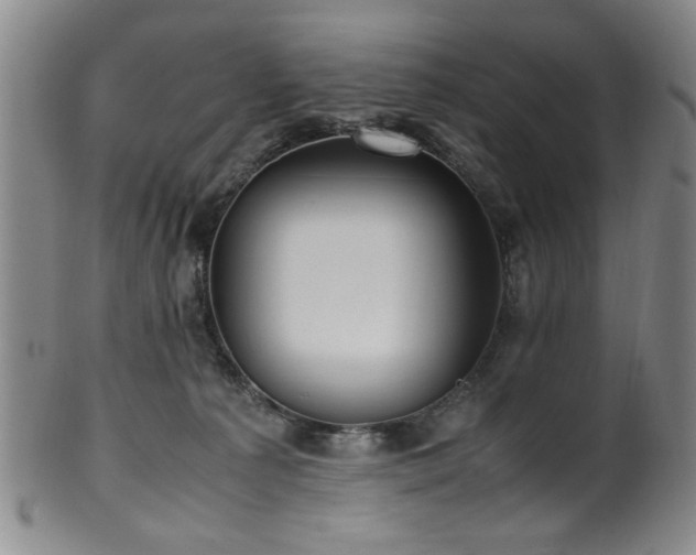 X0000100350225200806061121