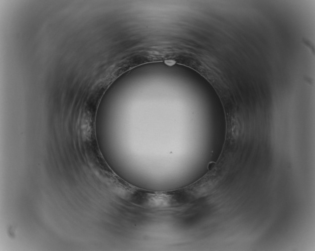 X0000100350226200806061121