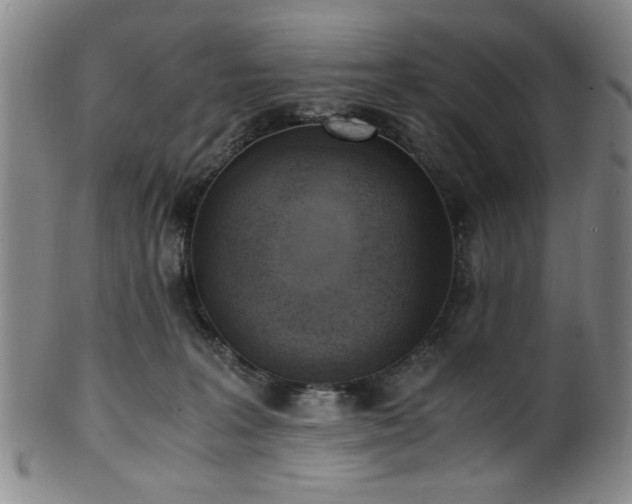 X0000100350227200806061121
