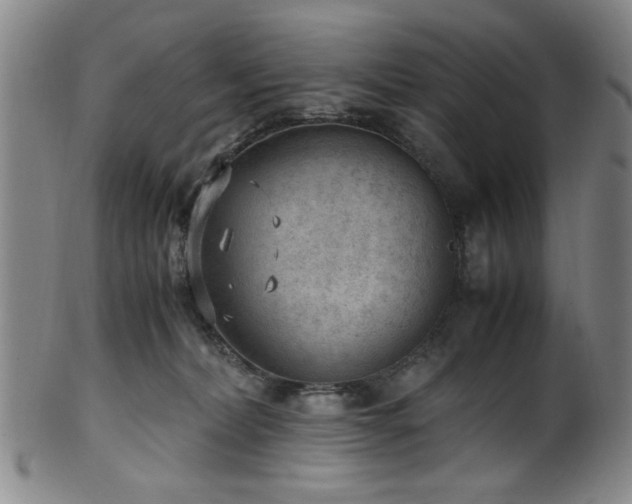 X0000100350228200806061121