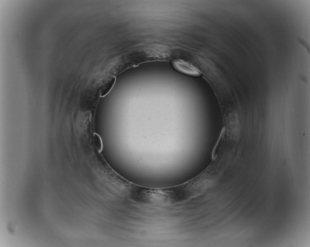 X0000100350229200806061121