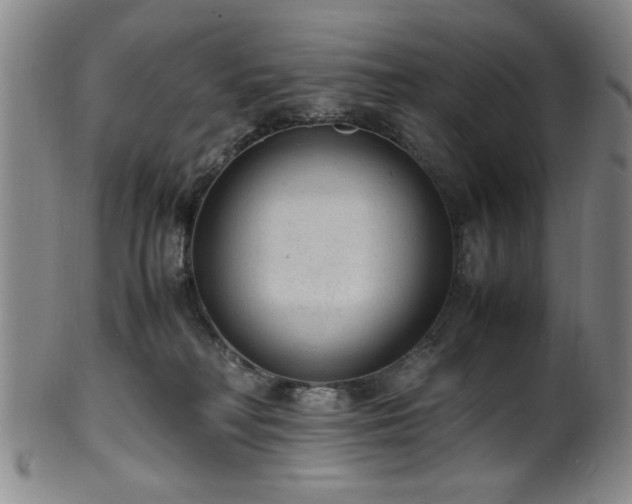 X0000100350230200806061121