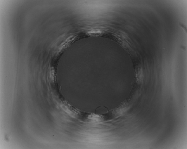 X0000100350231200806061121