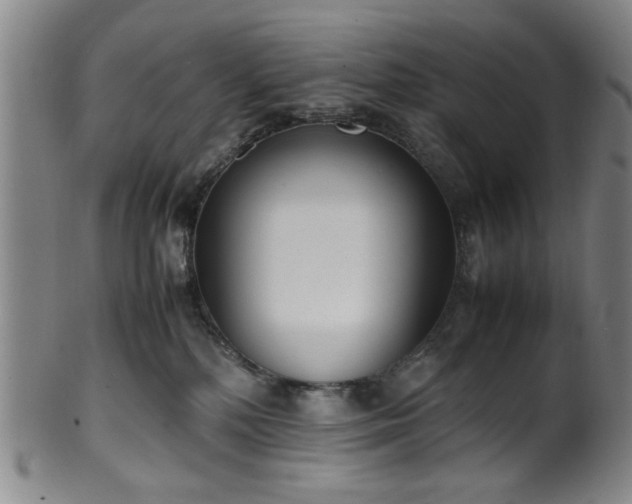X0000100350232200806061121