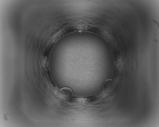 X0000100350233200806061121