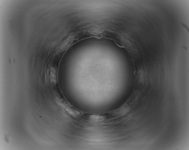 X0000100350234200806061121