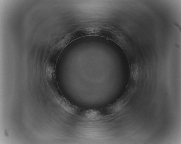 X0000100350235200806061121