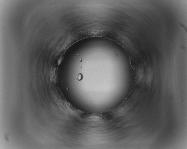 X0000100350236200806061121