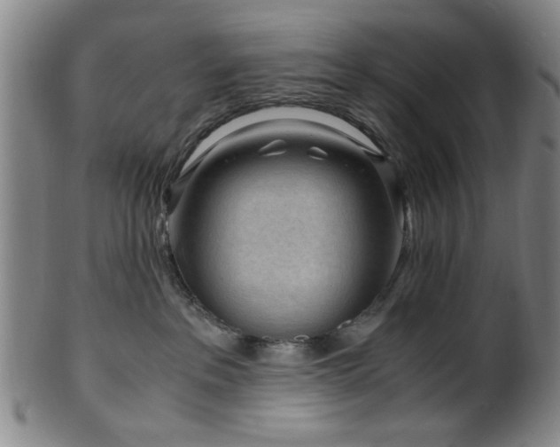 X0000100350237200806061121