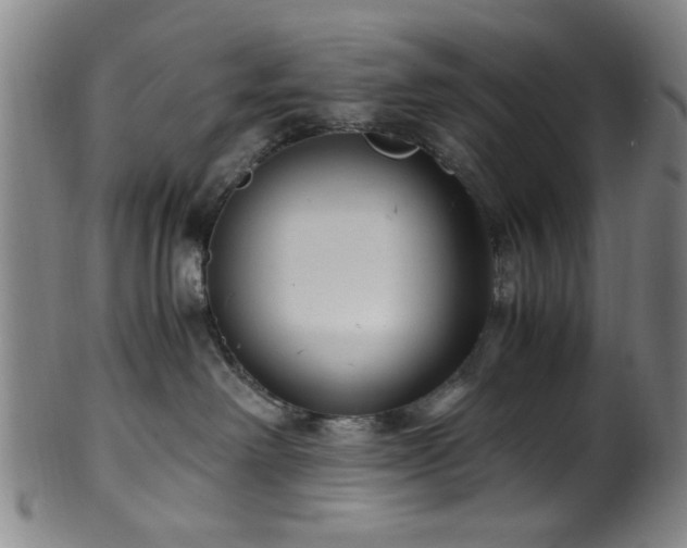 X0000100350238200806061121