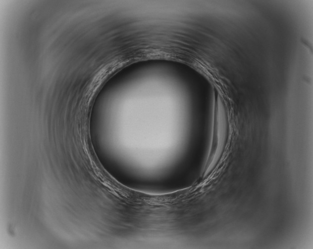 X0000100350241200806061121