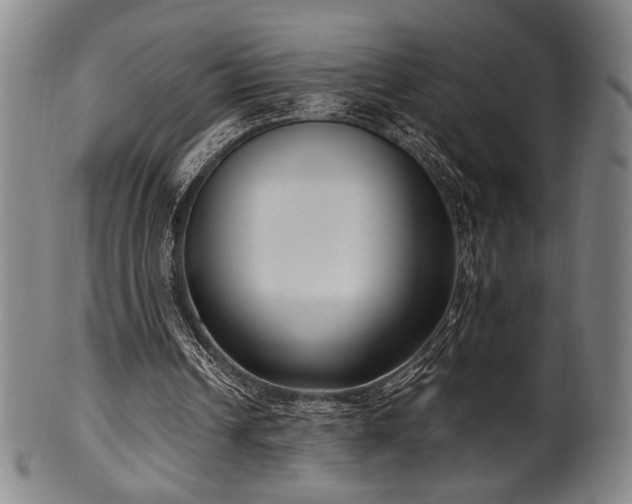 X0000100350242200806061121