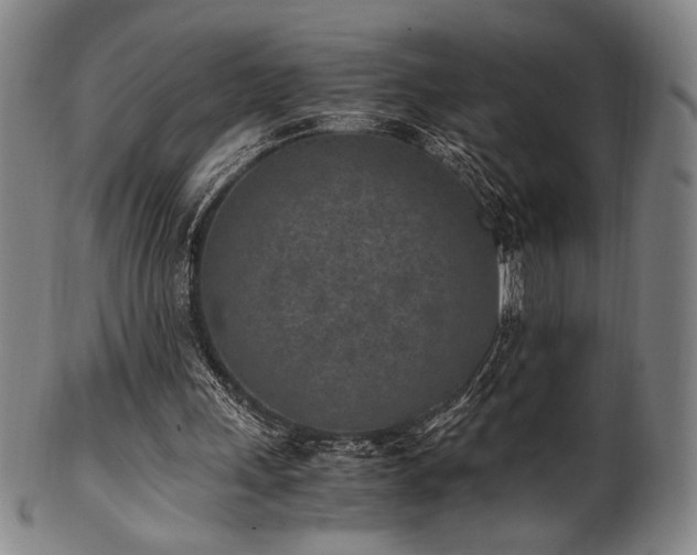 X0000100350243200806061121