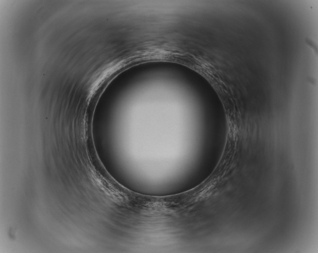 X0000100350244200806061121