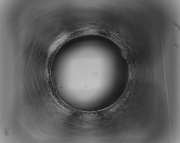 X0000100350245200806061121