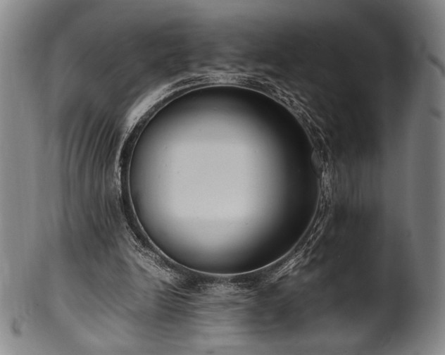 X0000100350246200806061121