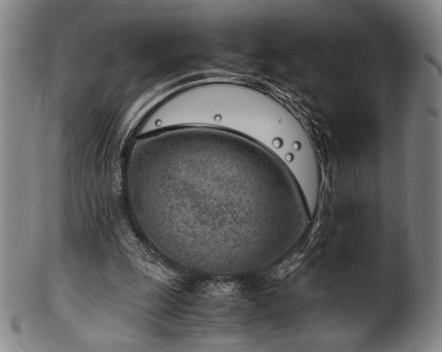 X0000100350247200806061121