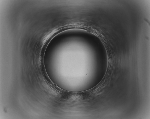 X0000100350248200806061121