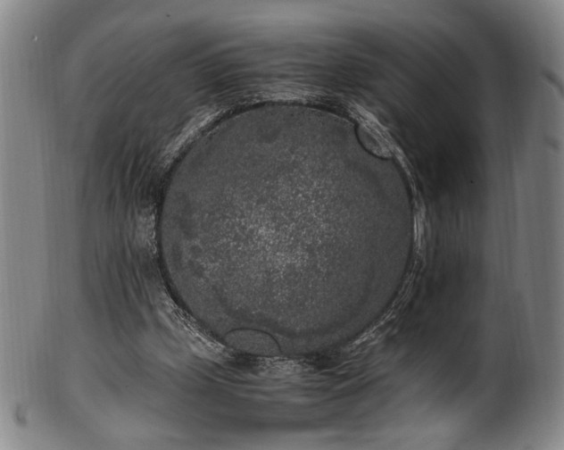 X0000100350249200806061121