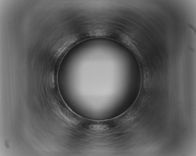 X0000100350251200806061121