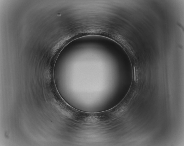 X0000100350252200806061121