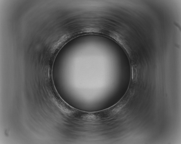 X0000100350253200806061121