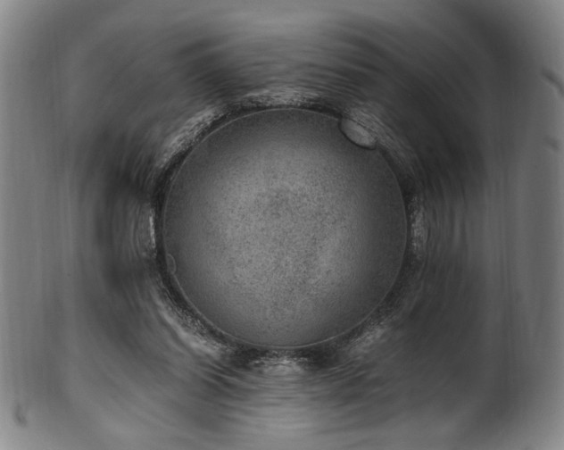 X0000100350254200806061121