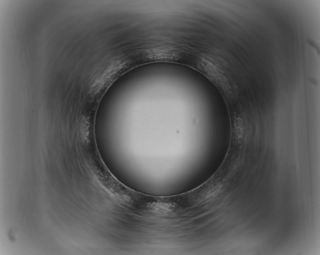 X0000100350255200806061121